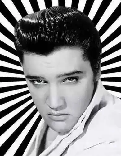 就好比杰克逊的帽子和大卫鲍依的闪电,这个发型自从被"猫王"推向潮流