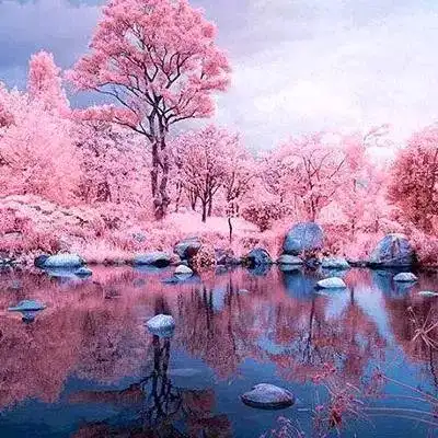 100张最好看的风景头像 高清漂亮又好看的美景头像图片_风景头像_头像