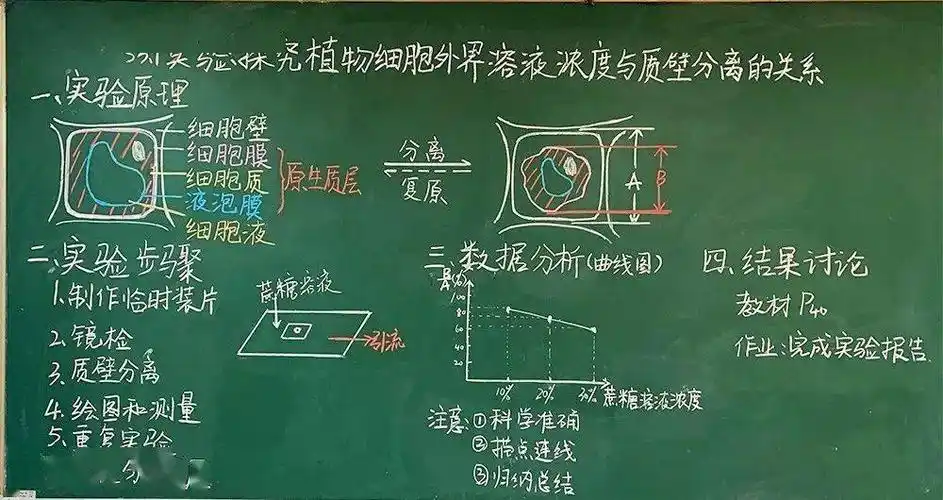 "课堂板书"哪家强?来虹口校园找答案吧_语文