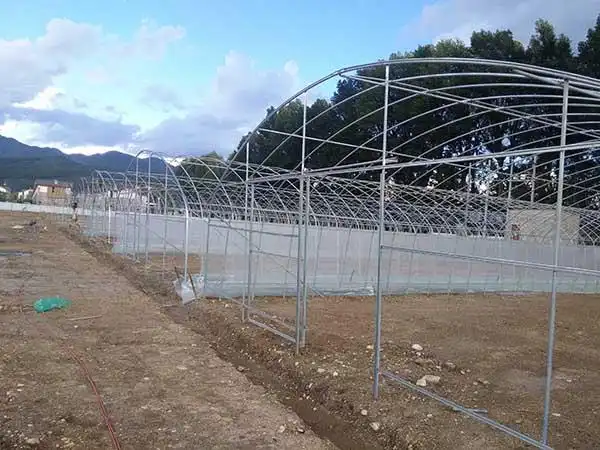 曲靖连体钢架大棚公司