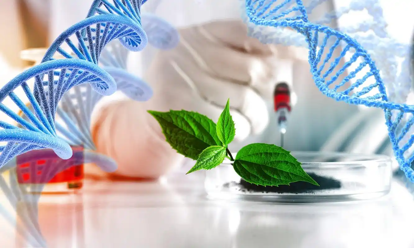 需求,注重理论和实践的结合,同时培养学生的自主学习能力和创新精神