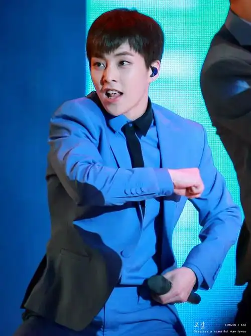 金珉锡 xiumin 秀珉 exo