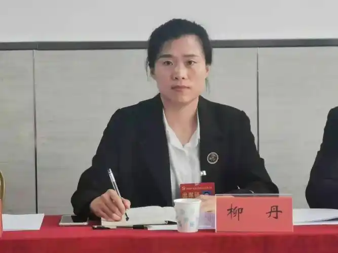 市第七次党代会代表柳丹说,展望未来的五年,我们将抓住新阶段,新理念