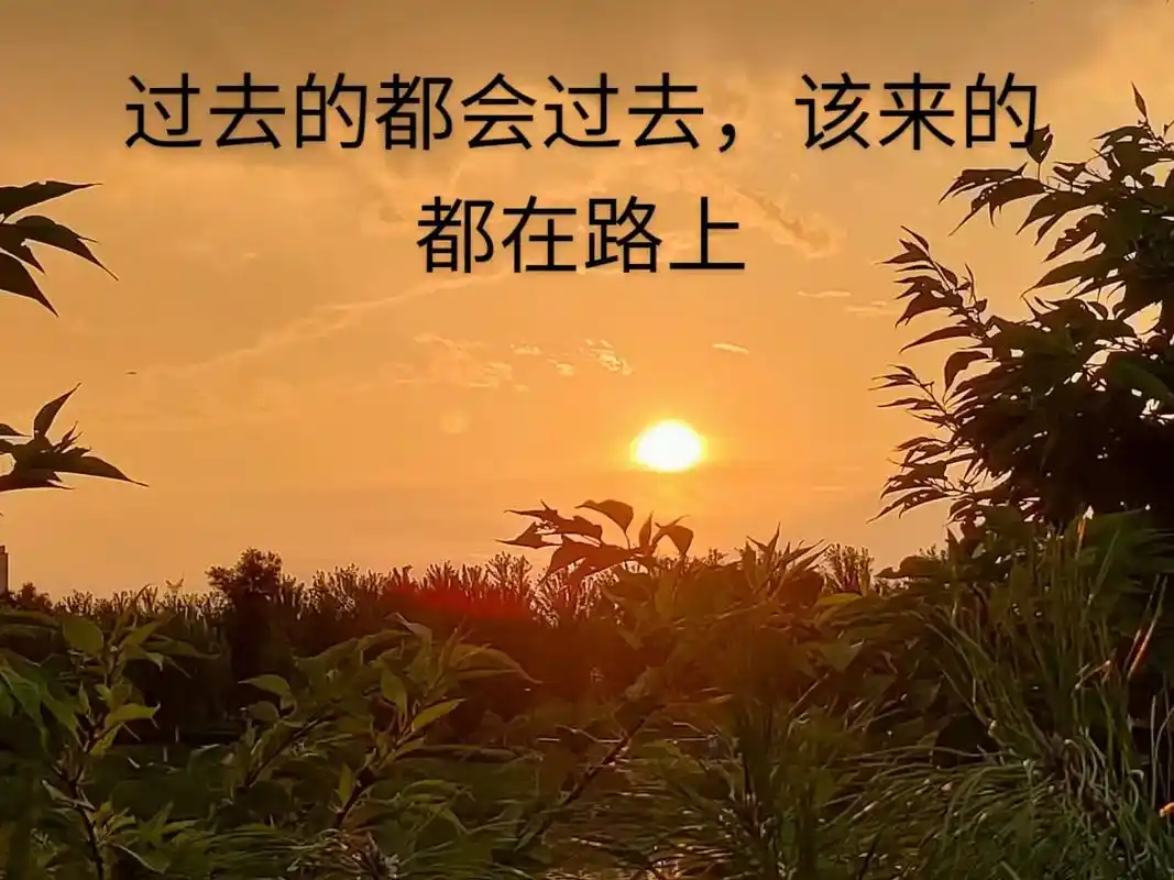 看人看事,太较真必然看破,看破的结局伤己又伤人.有些事,你真 - 抖音