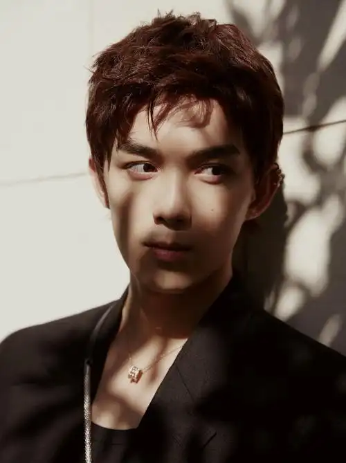 当前位置:>首页>图片大全>明星>吴磊四环耳骨夹帅气图片写真>