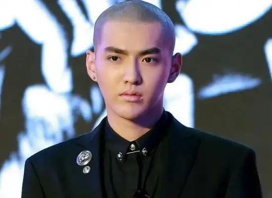 明星光头照谁最帅,吴亦凡变得更帅,而她被吐槽外星人!