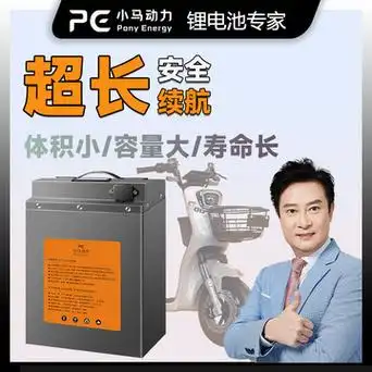 新国标电动车锂电池48v伏电瓶车增程电池两轮车爱玛雅迪专用电瓶