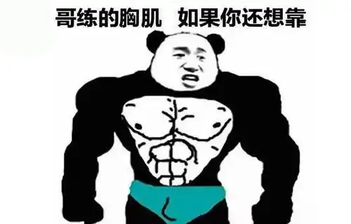 哥练的胸肌是什么意思?