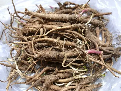 当归西藏林芝土特产小当归滋补土当归100g