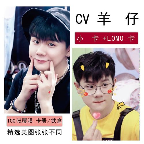 cv羊仔个人写真海报照片系列明信片100张拍立得lomo小卡周边现货