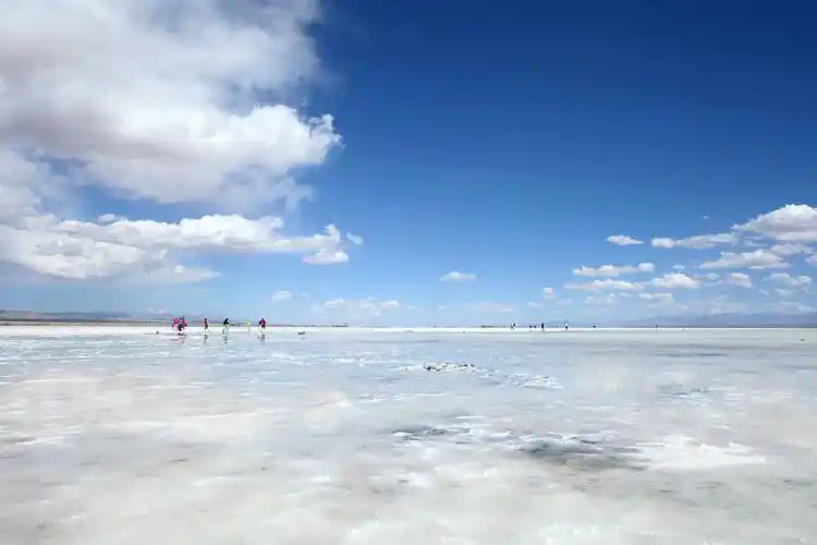 跟着抖音去青海双动6日游2019.08.11