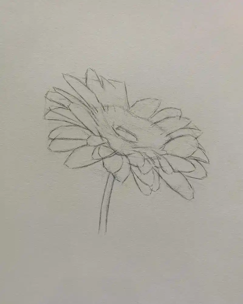 菊花|步骤图解析.本文共8张步骤图内容从起形到塑造#素描 - 抖音