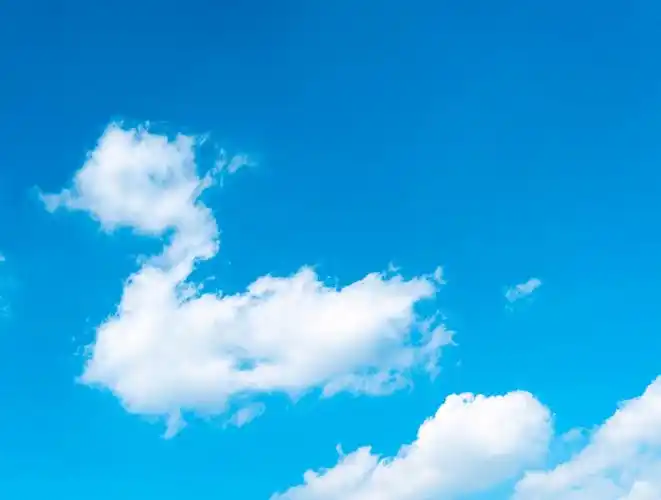 小象图片大全-小象高清图片下载-觅知网