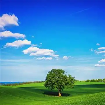 适合春天的头像图片高清适合春天微信头像合集