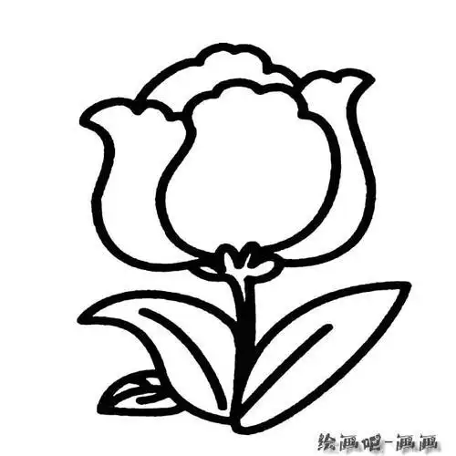 简笔画 油菜花线描画 油菜花线描画植物简笔画花卉简笔画漂亮儿童画