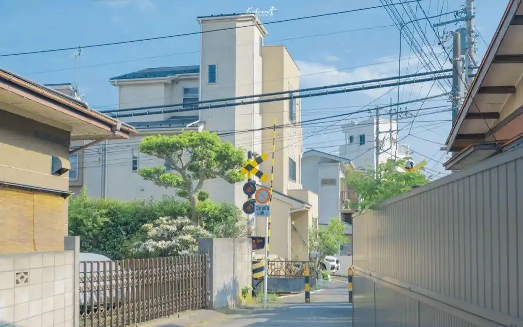 壁纸|日系清新壁纸