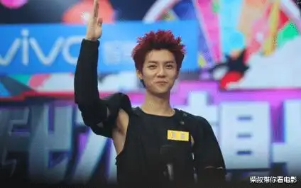 2014年,作为男子组合exo正式出道.