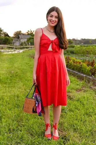 外国女星真敢穿阿曼达塞弗里德红色礼裙中路大开太惊艳