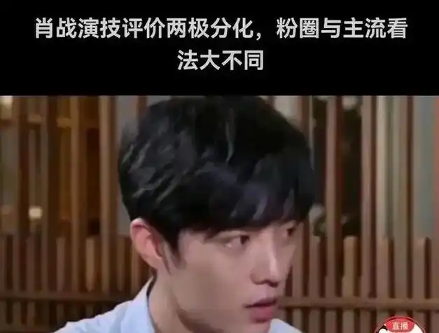 肖战和王一博的正剧代表作观众评分出炉演技才是关键