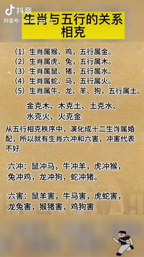 十二生肖与五行的关系国学智慧弘扬国学经典文化涨知识橱窗好物生肖