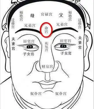 面相术语,面相术语顺