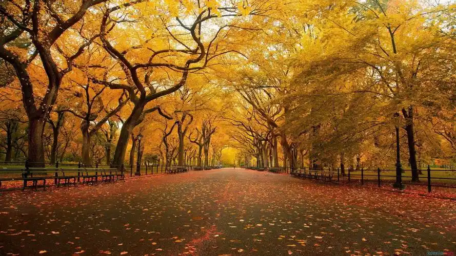 每日最新很哲理的微信段子精选