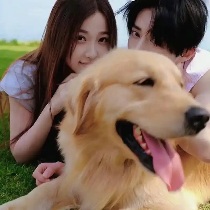 虞书欣王鹤棣情侣头像#王鹤棣 #虞书欣 #情侣头像 - 抖音