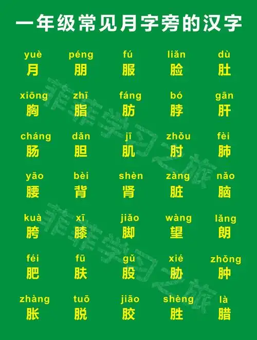 月字旁的字有哪些呢(一年级偏旁部首月字旁,一年级月字旁的汉字)