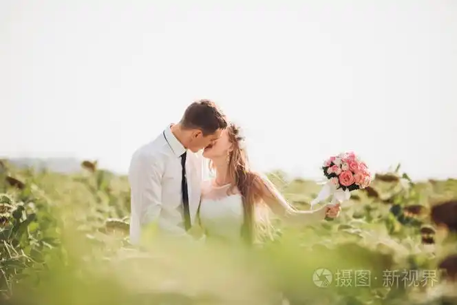 婚礼情侣接吻和构成在字段中的向日葵照片-正版商用图片1mnffr-摄图新