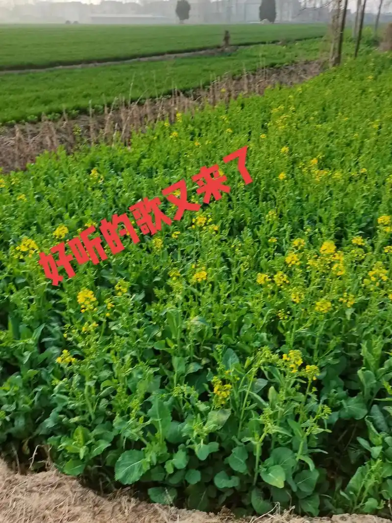 步骤:1,拍同款,2,点3分钟,3,点相册,4,左下角点多选 - 抖音