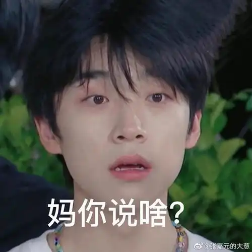 求张嘉元的表情包