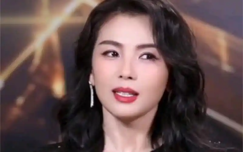 刘涛:还是以前电视剧的造型好看