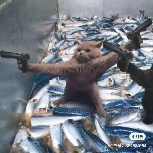 这么搞笑的情头