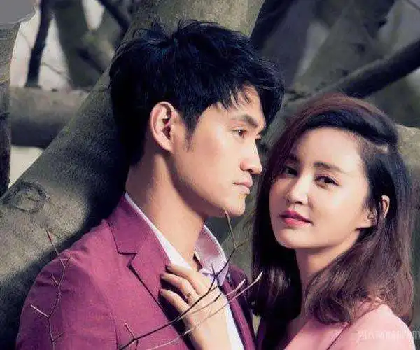 梅琳琳和袁弘离婚了压根不是张歆艺的老公袁弘