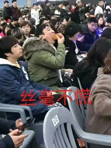 王思聪吃面包:丝毫不慌_王思聪_不慌_面包_丝毫表情