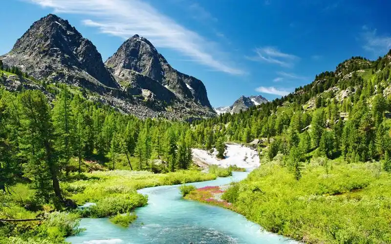 清新护眼绿色风景图片高清壁纸