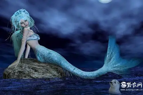 有个别研究认为美人鱼可能是在古猿进化成早期人类的过程中,在水中