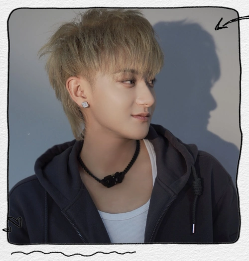 明星动态与传闻揭秘:迪丽热巴,杨紫等最新动向