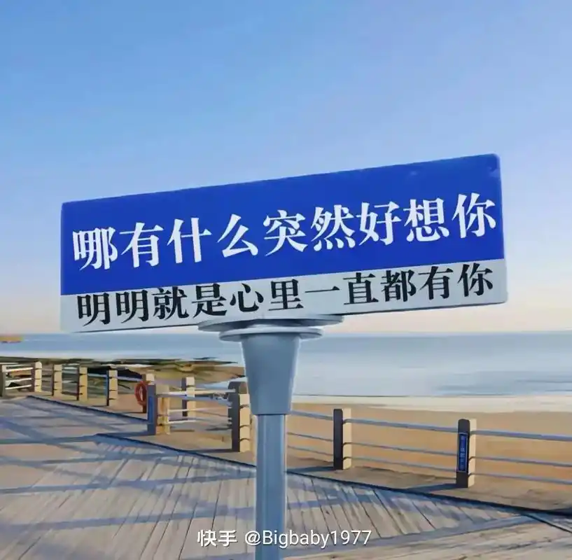 比亚迪比亚迪二孩停车场9315包月100元 包 - 抖音