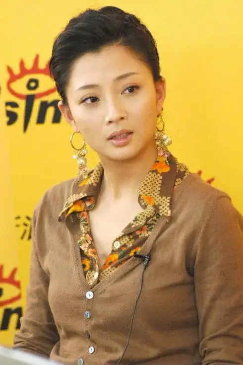 殷桃的个人资料简介(影视演员殷桃) | 说明书网