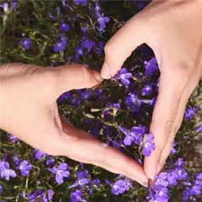 双手比心头像大全高清唯美的双手做心状图片头像