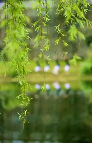 超凡脱俗的心灵艺术——爱上瑜伽