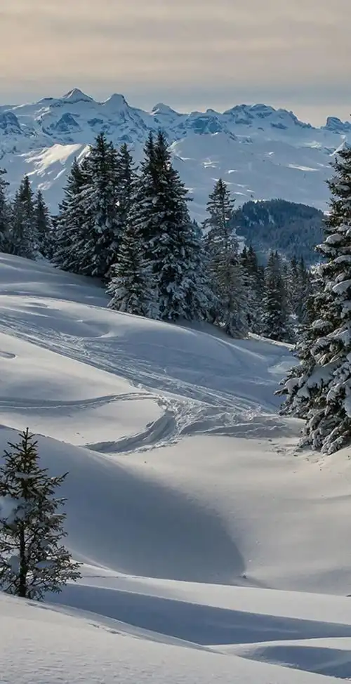 高清壁纸|风景自然高清手机壁纸__财经头条