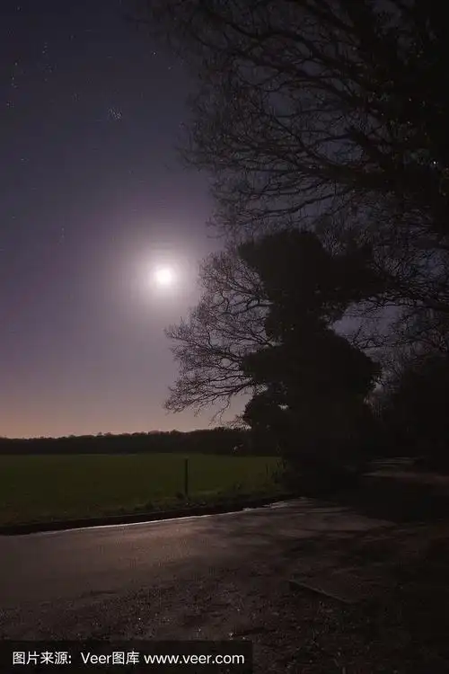 月光下的农村公路
