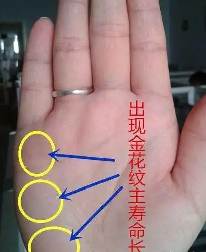 手相:这条纹线,一旦拥有福禄双全,富贵有余!