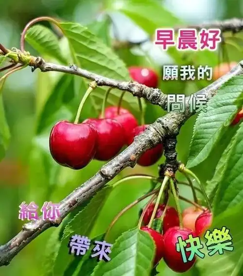 夏季早上好温馨问候祝福语图片发朋友早晨好的动态表情图片带字祝福