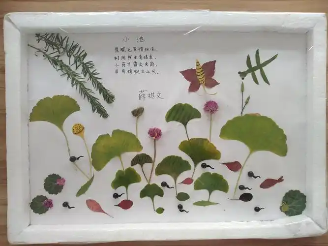 霍东学校一年级2班——diy树叶拼贴画