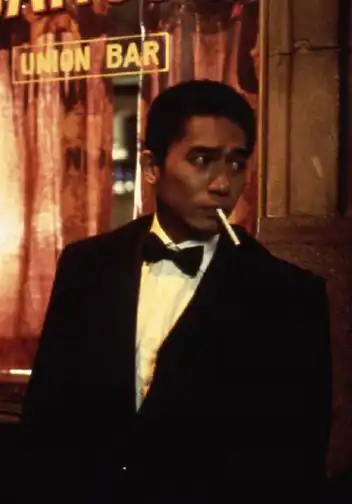 p>《春光乍泄》是由 a href="#" data-lemmaid="373607">王家卫 /a>