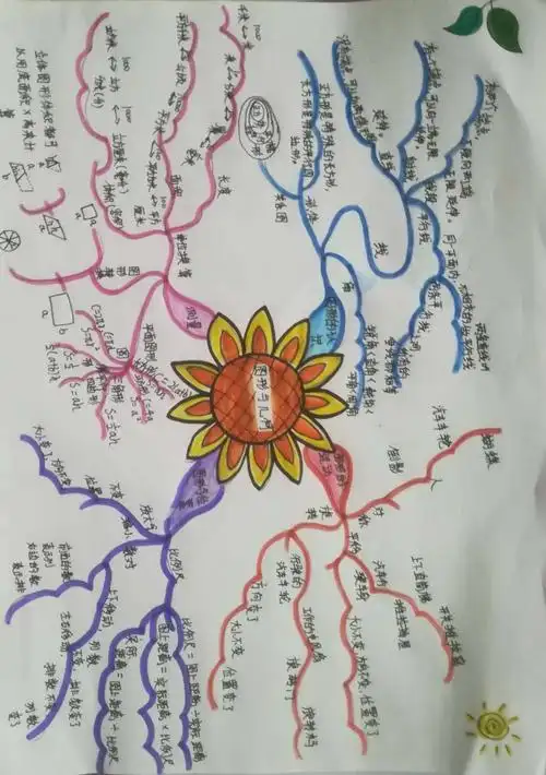 【绽放·精彩】数学内在之美,尽在思维导图——小辛庄小学六年级数学