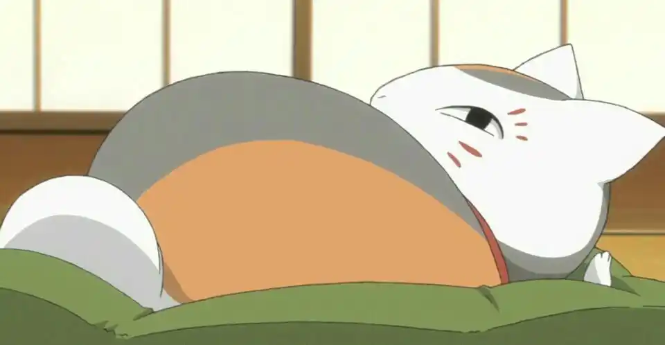 《夏目友人帐第六季特别篇1》娘口三三